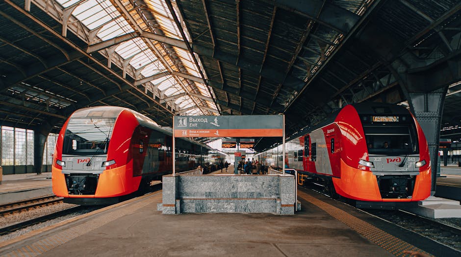 Russian high-speed passenger trains with red and black livery at a busy railway platform with travelers